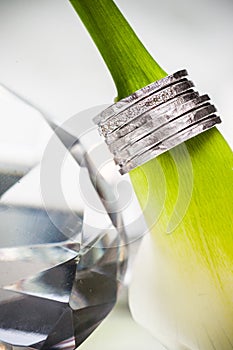 Wedding rings on white callas background