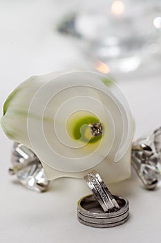 Wedding rings on white callas background