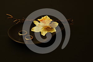 Wedding rings, white daffodil and birch twigs on black ceramic plate on dark background. Play of light and shadow. Concept for day