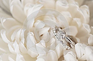 Wedding rings in white flowers