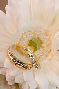 Wedding rings in white flowers