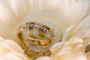 Wedding rings in white flowers