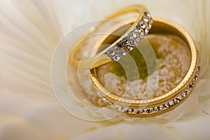 Wedding rings in white flowers