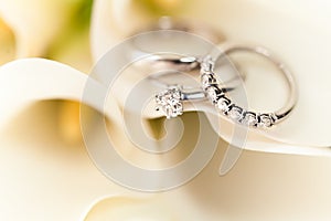 Wedding Rings on White Flowers