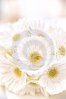 Wedding Rings on white Flowers