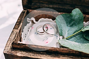 Wedding rings from white gold in a wooden box filled with moss,