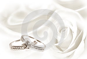 Wedding rings and white rose photo