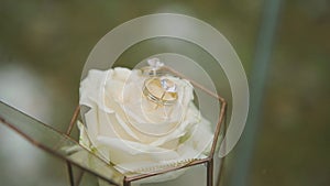 Wedding rings on a white rose. Wedding rings symbol of fidelity and love.