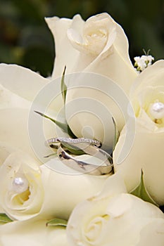 Wedding Rings and White Roses
