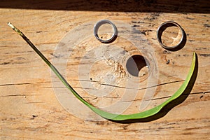 Wedding rings on a wooden board next to a green leaf