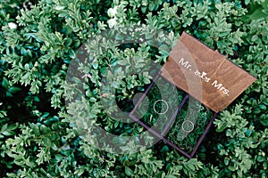 Wedding rings in a wooden box filled with moss on the green grass