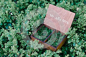 Wedding rings in a wooden box filled with moss on the green grass