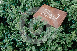Wedding rings in a wooden box filled with moss on the green grass