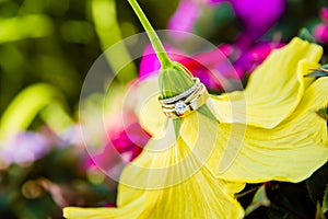 Wedding rings on yellow flower