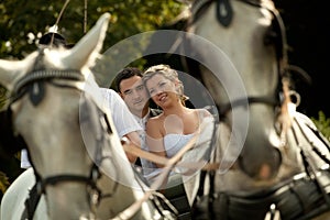 Wedding series, carriage