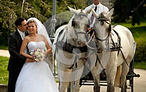 Wedding series, carriage