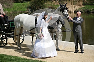 Wedding series, carriage