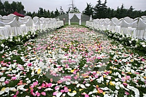 Wedding site