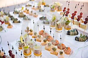 Wedding snacks. Big festive table