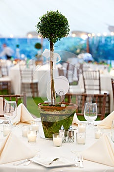 Wedding table and centerpiece