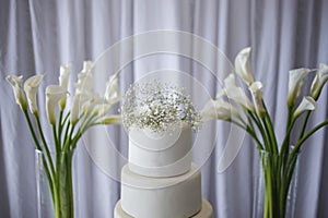 wedding table - elegant decorated table for wedding party