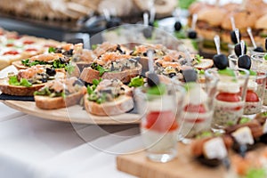 Wedding Table With Food. Snacks and Appetizer on the Table. Bread with Fish and Raw Meat with Vegetables.