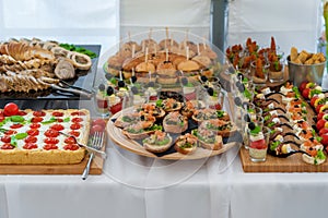 Wedding Table With Food. Snacks and Appetizer on the Table. Fish and Raw Meat with Vegetables.