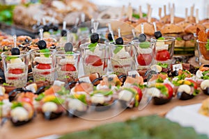 Wedding Table With Food. Snacks and Appetizer on the Table. Fish and Raw Meat with Vegetables.