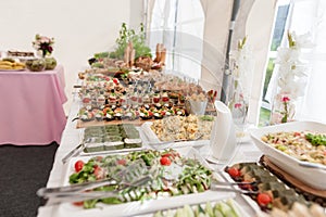 Wedding Table With Food. Snacks and Appetizer on the Table. Fish and Raw Meat with Vegetables.