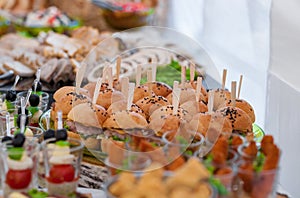 Wedding Table With Food. Snacks and Appetizer on the Table. Fish and Raw Meat with Vegetables. Burger in Focus.