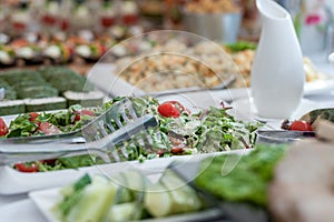 Wedding Table With Food. Snacks and Appetizer on the Table. Fish and Raw Meat with Vegetables. Salad in Foreground