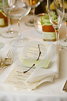 Wedding table with menu