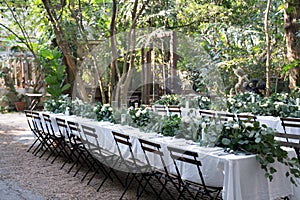 Wedding table setting in the garden with minimal vintage theme in natural light setting. Wedding ceremoy. Copy space