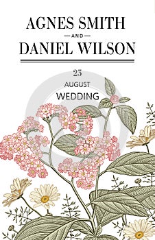 Wedding thanks invitation. Beautiful realistic flowers Chamomile heliotrope card. Frame, label. Vector victorian Illustration.