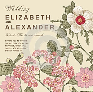 Wedding thanks invitation. Beautiful realistic flowers heliotrope card. Frame, label. Vector engraving victorian Illustration.