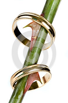 Wedding thorns