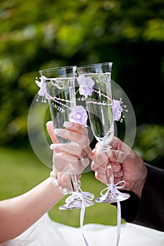 Wedding toast photo