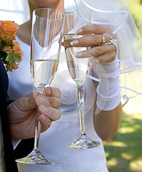 Wedding toast photo