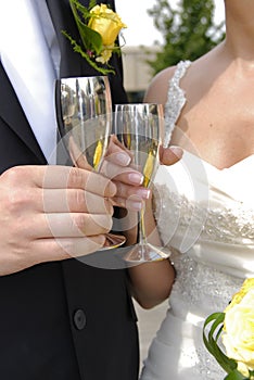 Wedding toast photo