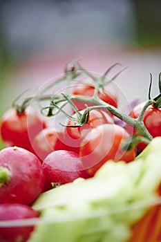 Wedding vegetable buffet