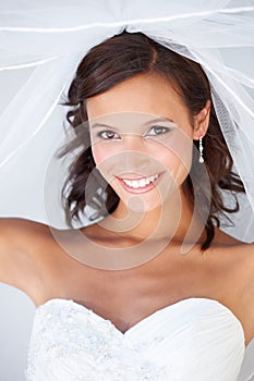 Wedding, veil and portrait of bride with makeup and fashion for celebration of marriage. Bridal, aesthetic and happy