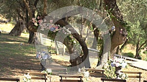 Wedding venue in the olive grove with decorated trees, flowers, bouquets and chairs