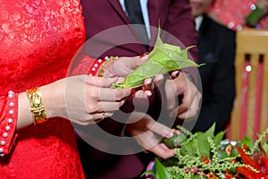 Wedding Vietnam Betel and bride groom to worship their ancestors