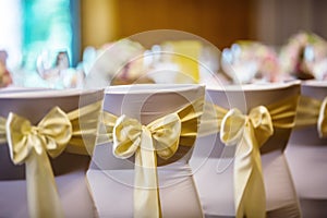 Wedding. Wedding chairs in row decorated with golden yellow colo