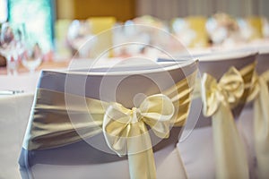 Wedding. Wedding chairs in row decorated with golden yellow colo