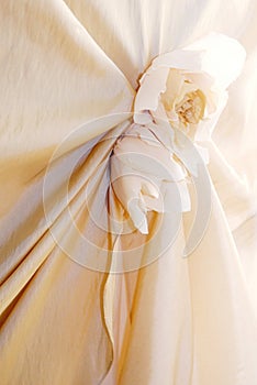 Weddingdress background