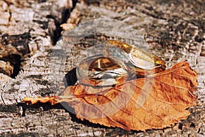 Weddings rings aranged in nature