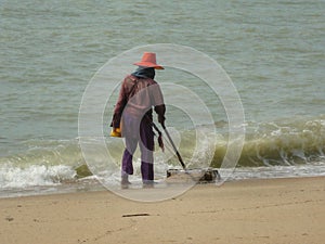 Wedge shell seeking on the beach