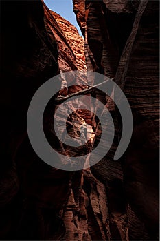 Wedged Log Serves As A Reminder How High Flood Waters Run Through Slot Canyons