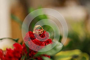 wedlock golden rings photo